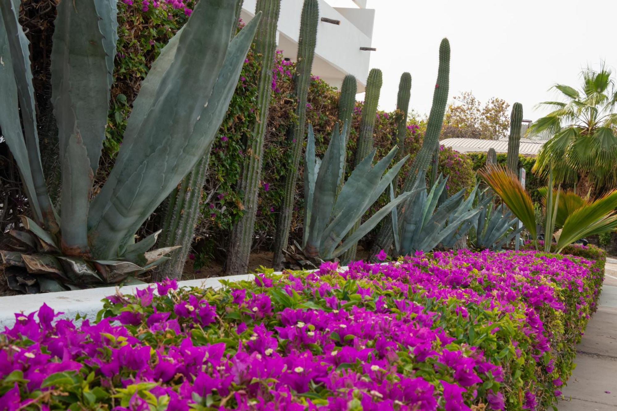 Hotel Hacienda Bugambilias 4*