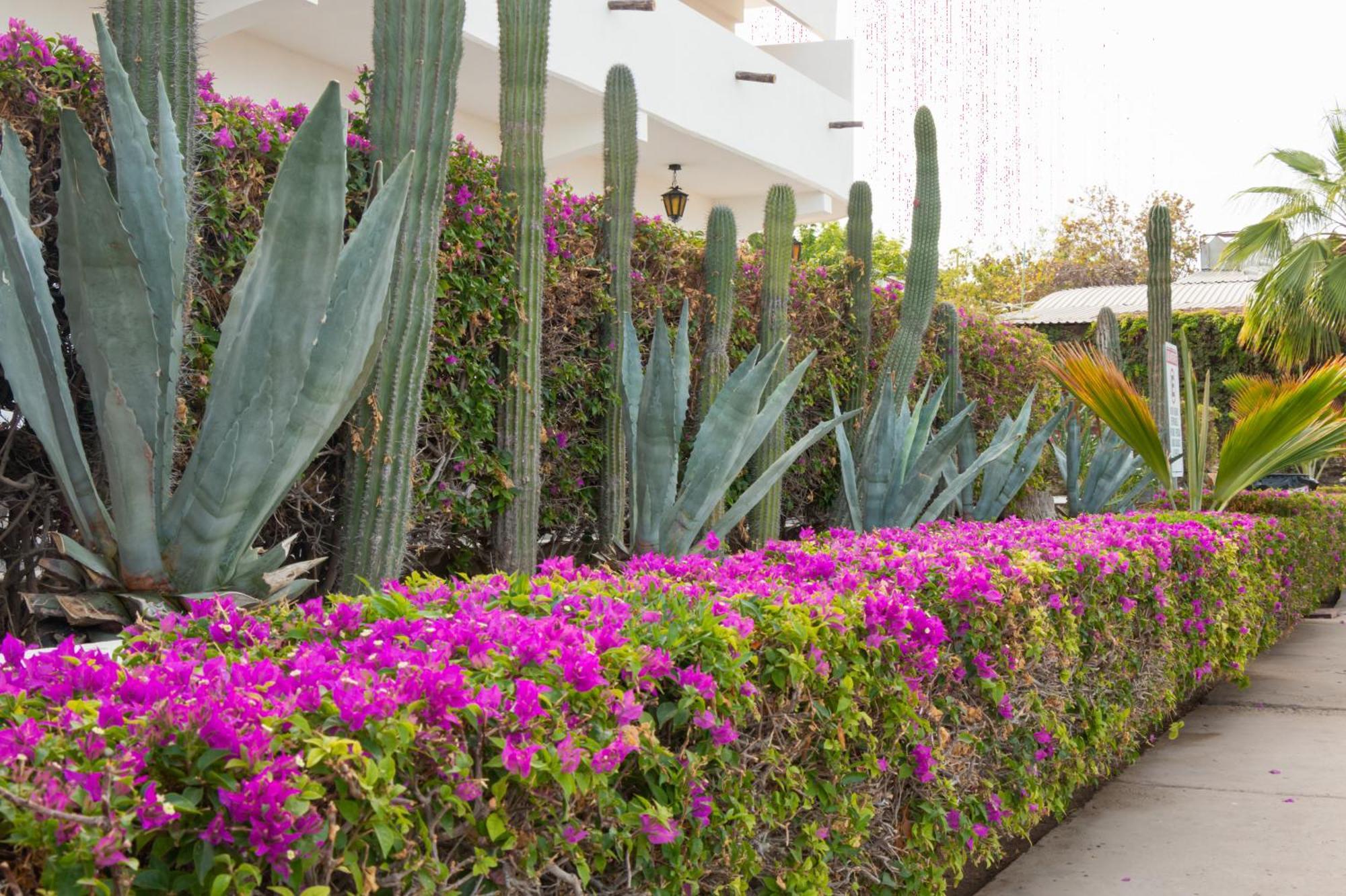 Hacienda Bugambilias Hotel