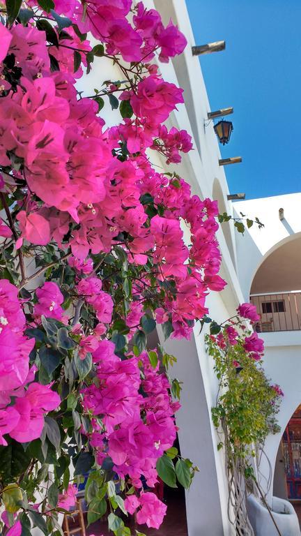 Hacienda Bugambilias Hotel